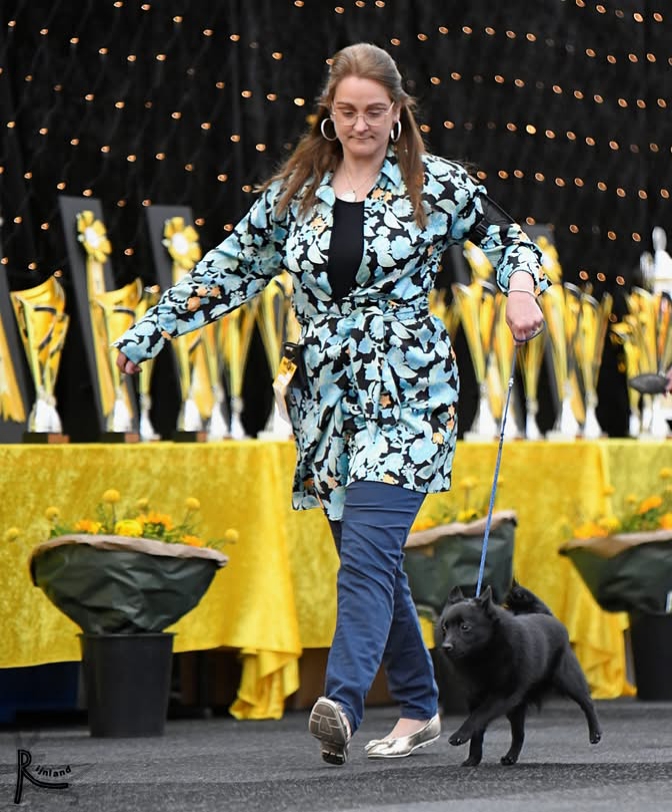 Deze afbeelding heeft een leeg alt-attribuut; de bestandsnaam is 2025-03-15-Dogshow-Rijnland-1.jpg